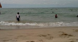 obrázek - Arcadia Beach