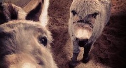 obrázek - Espanola, NM