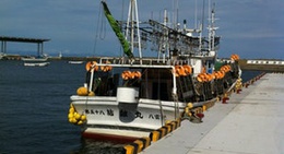 obrázek - 八雲港