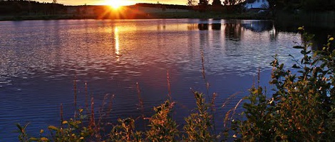 obrázek - Lipnica