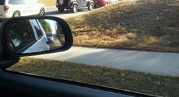 obrázek - Casablanca Neighborhood