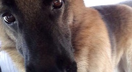 obrázek - Aavalahalli lake