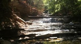 obrázek - Tanyard Creek Hiking Trail