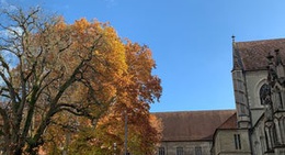 obrázek - Münsterplatz