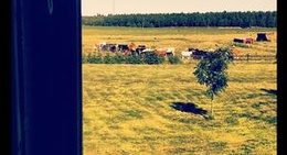 obrázek - Ejmunds Gård