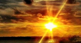 obrázek - Edisto Island