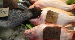 obrázek - Nong Bua Seafood (เกี๊ยวหนองบัวซีฟู้ด)