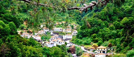 obrázek - Boaventura