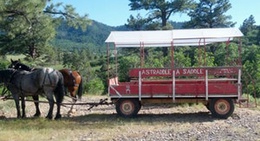 obrázek - A Straddle A Saddle