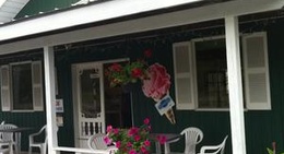 obrázek - Sunflower Fields