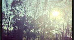 obrázek - City of Wildwood