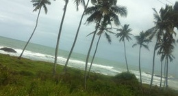 obrázek - mables table