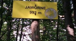 obrázek - Jaworne