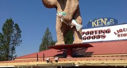 obrázek - Ken's Sporting Goods & Liquor Store