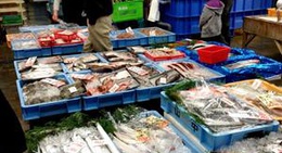obrázek - マルトモ水産 鮮魚市場