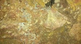obrázek - Cueva de Montesinos