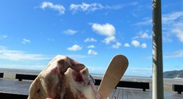 obrázek - Promenade