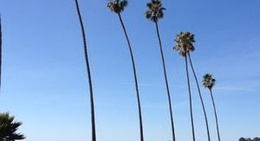 obrázek - Butterfly Beach