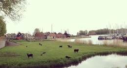 obrázek - Enkhuizen