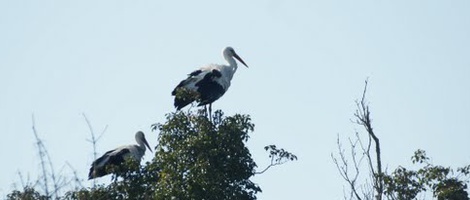 obrázek - Saint-Augustin