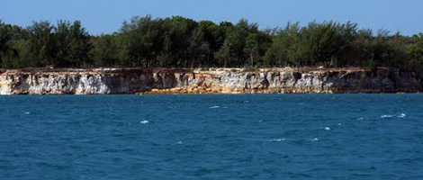 obrázek - Nightcliff