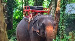 obrázek - Koh Chang Elephant Camp
