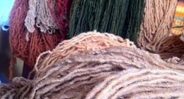 obrázek - Taller Nelson Perez Meneses