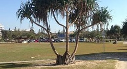 obrázek - Kawana Surf Club