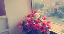 obrázek - kocaali damla pastanesi