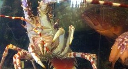 obrázek - Mesón El Pescador