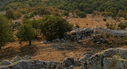 obrázek - Munții Măcinului