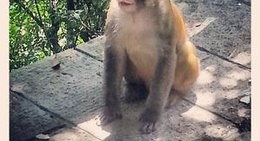 obrázek - 张家界国家森林公园 • Zhangjiajie National Park