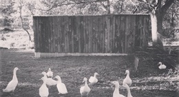 obrázek - Travis Earth