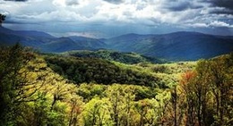 obrázek - Smoky Mountains
