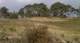 obrázek - Benito Juarez