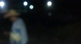 obrázek - Marina Telchac