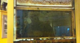 obrázek - Honeyville