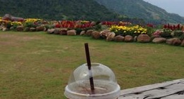 obrázek - Pino Latte Resort & Cafe