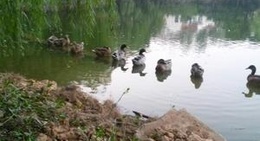 obrázek - Morning World™