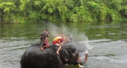 obrázek - Taweechai elephant camp