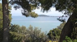 obrázek - Kavatza Summer