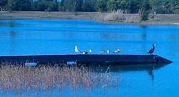 obrázek - Amelia Earhart Park