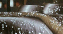 obrázek - Pajak Glugur