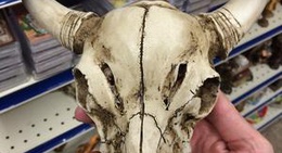 obrázek - The Route 66 Roadhouse Bar and Grill