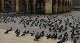 obrázek - Nasrullah Meydanı