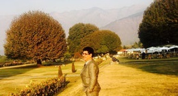 obrázek - Shamyana Restaurant