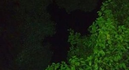 obrázek - 孝感市