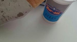 obrázek - Gül Tost