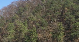 obrázek - Treetopwalk - Baumkronenweg Edersee