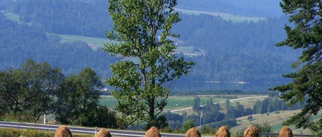 obrázek - Krośnica